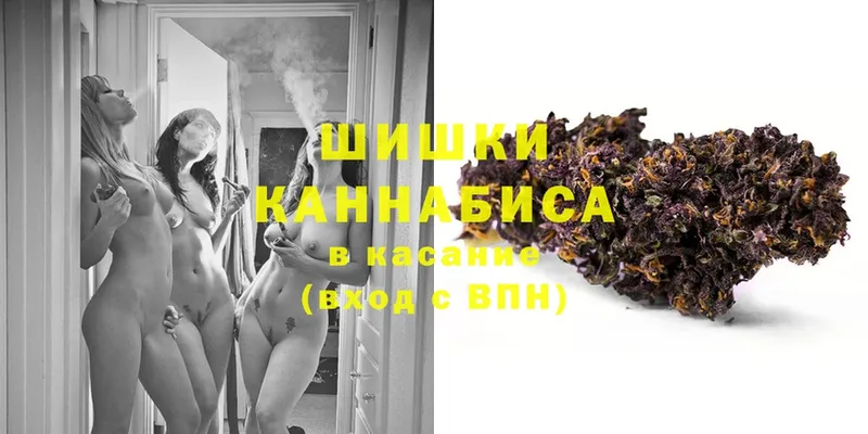 Шишки марихуана OG Kush  Тара 